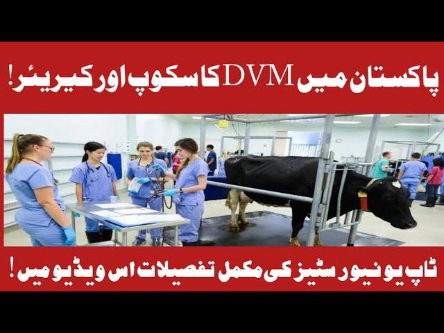 Scope of DVM in Pakistan |Careers in DVM|Veternary Doctor Job Opportunities in Pakistan