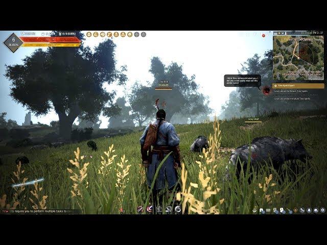 Black Desert Gameplay (PC HD) [1080p60FPS]