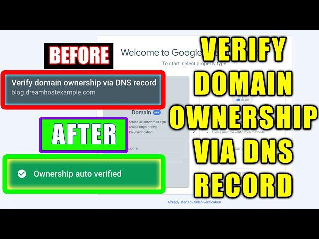 How to Fix Verify Domain Ownership Via DNS Record on Google Search Console For Wordpress and Wix