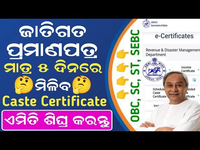 How to Apply Caste Certificate Online || Caste Certificate Online Apply Odisha | OBC SEBC SC ST 2024