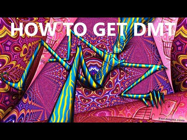 How to get DMT | Adeptus Psychonautica