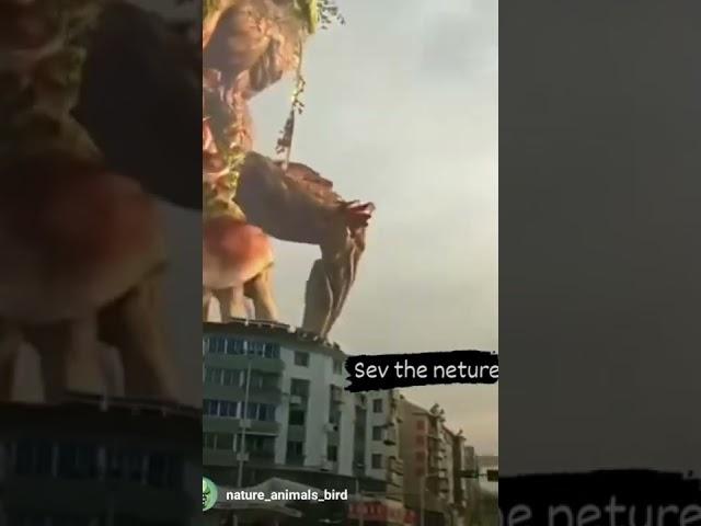 17 Juni 2022 viral di tiktok. monster