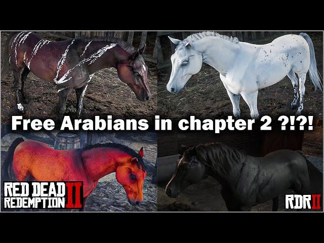 Four free Arabian Horse in chapter 2 in Red Dead Redemption 2 in 2021 - Black Arabian, RDR2.