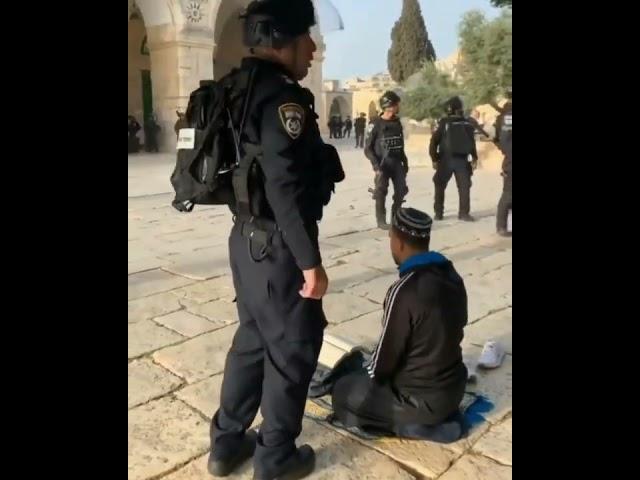 Brave Palesten Muslim Masjid-e-aqsa | Palestine |Baitul Muqaddas | Powerfull WhatsApp Status