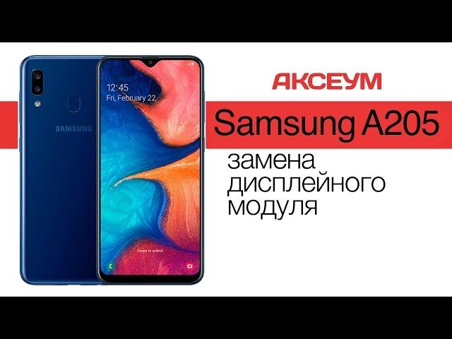 Замена экрана на  Samsung Galaxy A20 2019 (A205) - пошаговый разбор \ Replacement LCD Screen