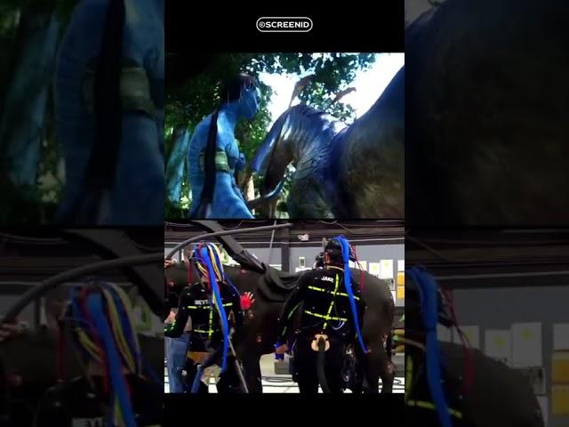 Avatar riding on pale BTS video Shorts l Screenid