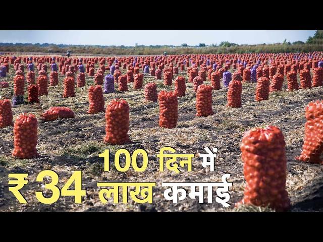 15 एकड़ प्याज की शानदार खेती || Best onion farming technique technology in India