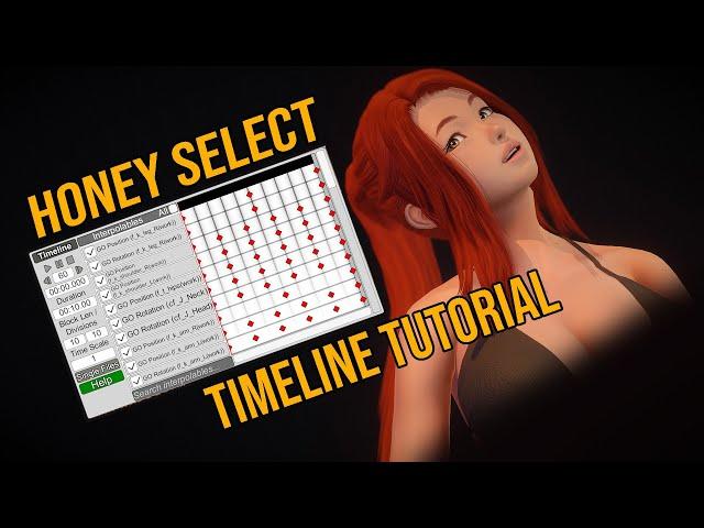 Honey Select Timeline Tutorial