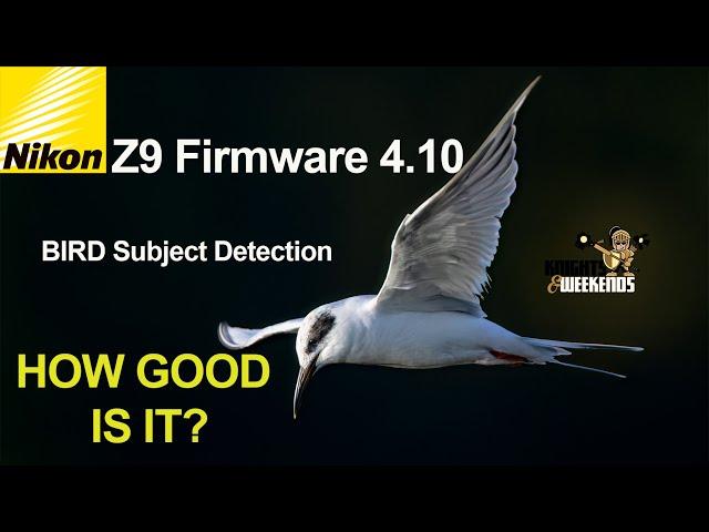 Z9 Firmware 4.10 Bird Detection: Real World Test