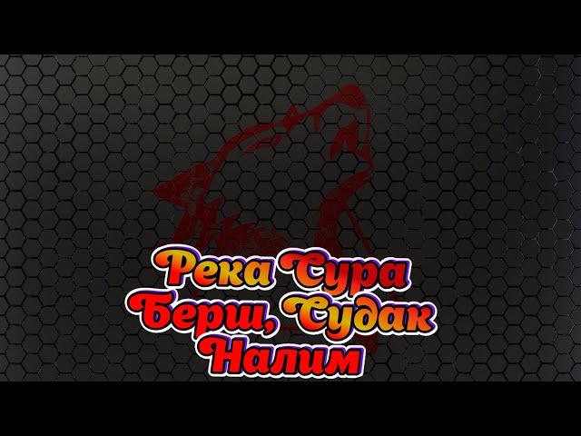 Русская Рыбалка 4 ► Russian Fishing 4 ► р. Сура - Берш, Судак, Налим