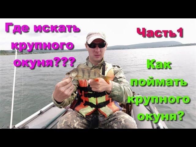 Где искать крупного окуня??? Как поймать крупного окуня?