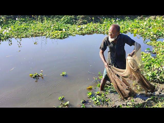 Amazing Net Fishing Video - Village Cast Net Fishing - Traditional Net Fishing Video