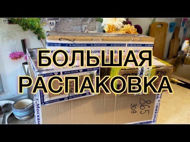 БОЛЬШАЯ РАСПАКОВКА! Корни пионов от Ворошиловой А.Б. и со всех концов страны.