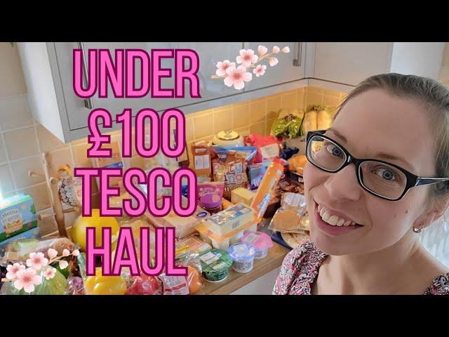 Budget Friendly Tesco Haul | Under £100 | Family of 5 + Meal Plan