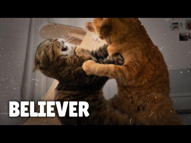 Imagine Dragons - Believer (Cover By Cats) | Kittisaurus