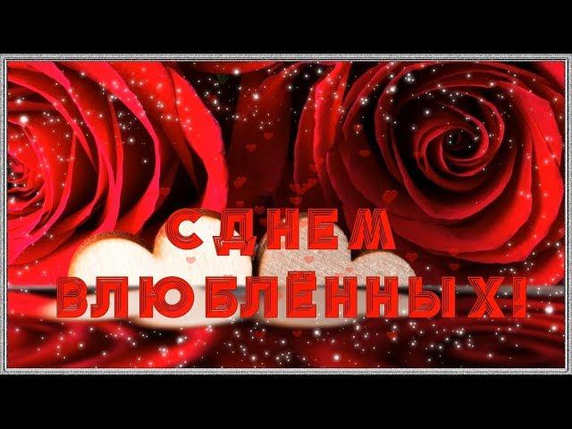 Happy Valentine's Day. Video congratulations on Valentine's Day. Beautiful video postcard