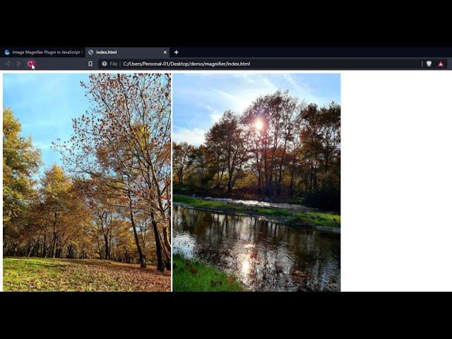 Image Magnifier JS Plugin DEMO