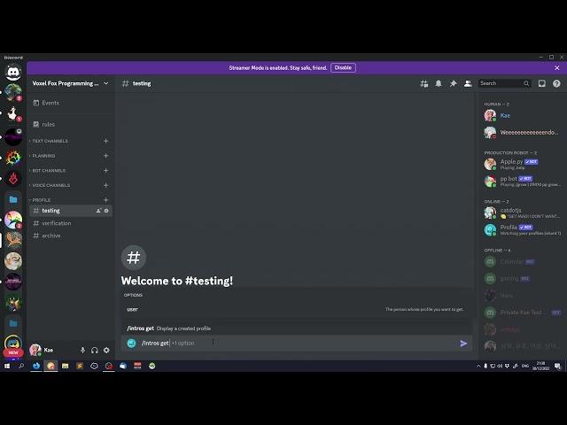 How to use Profile (Discord Bot)