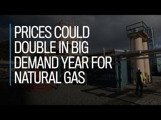 Prices could double in big demand year for natural gas