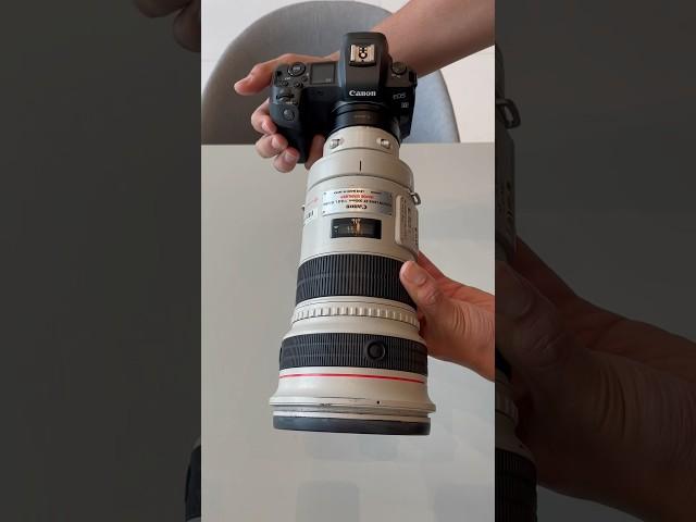 Have you ever seen the Canon EF 300mm f2.8?! #shorts #photography #camerahacks #Canon