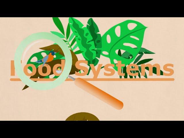 The WUR Food Systems Approach explained