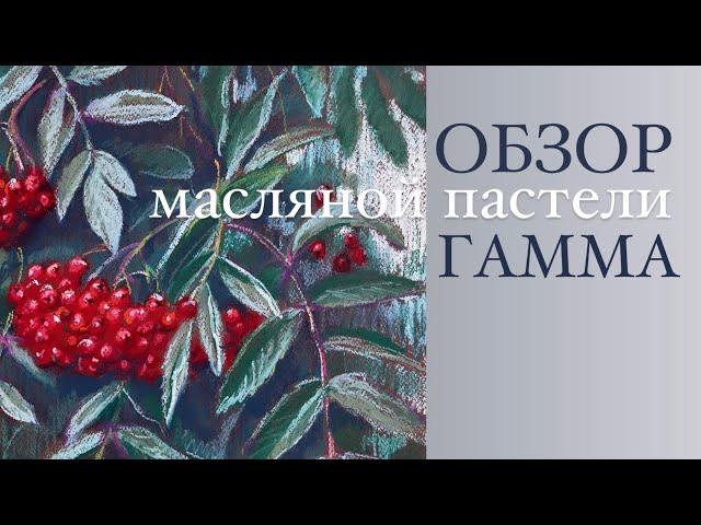 Обзор МАСЛЯНОЙ пастели Гамма. Выкраска, сравнение с Малевичъ