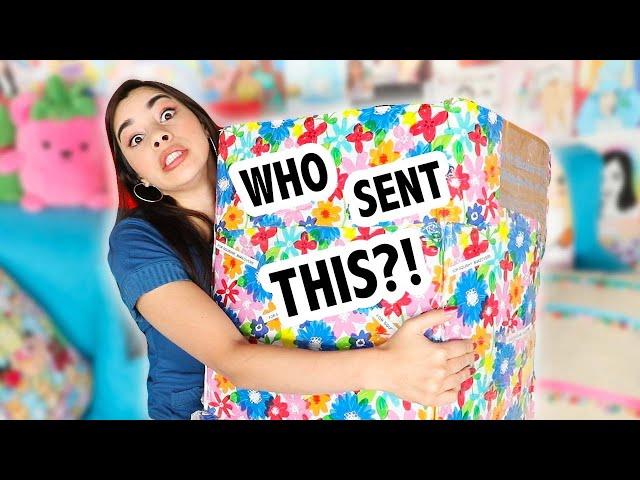 Opening all my BIGGEST Squishy Packages