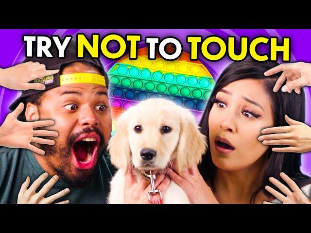 Try Not To Touch Challenge! (Puppies, Cats, Pop-Its) | React