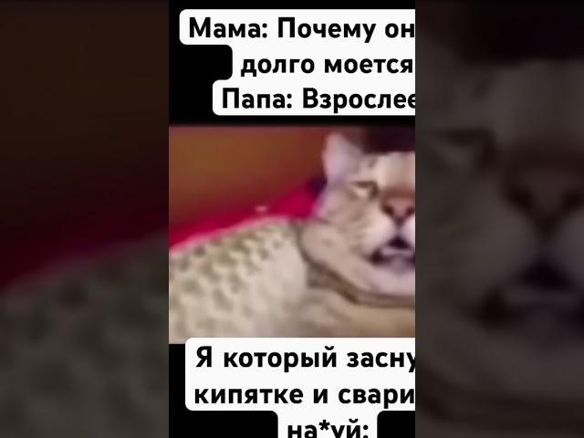 ПОЧЕМУ Я ТАК ОРУ