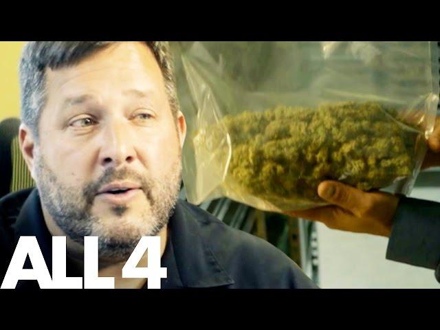 Running A Marijuana Farming Business | The Highs And Lows Of The Weed Business