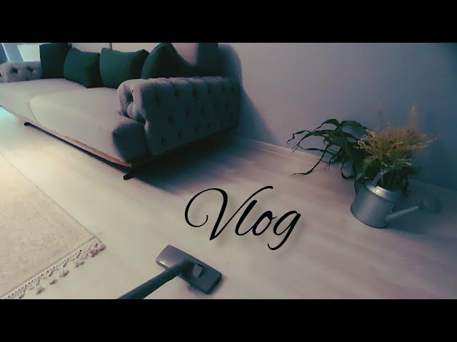 salon cleaning | ikea kitchen organization |silent vlog