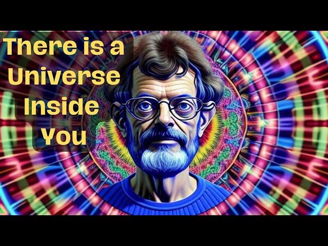 Terence Mckenna | There is a Universe Inside of You