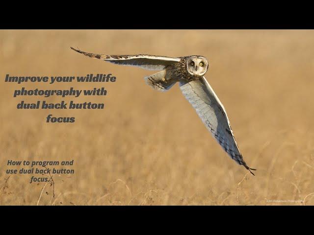 Improve your wildlife and bird photography with back button focus | Dual back button Focus | Sony A1