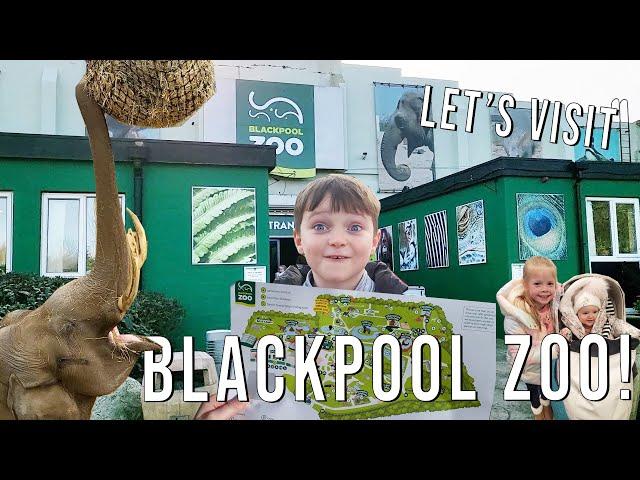 Blackpool Zoo - LET'S EXPLORE