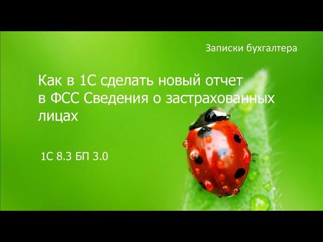 Как в 1С сделать новый отчет в ФСС о застрахованных лицах