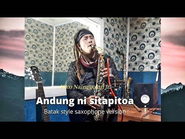 ANDUNG SITAPITOLA | Batak Style Saxophone Version | Cover by Nico Nainggolan