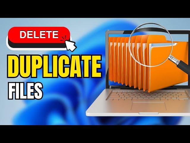 How to Delete Duplicate Files on Windows & Mac |  4ddig duplicate file deleter