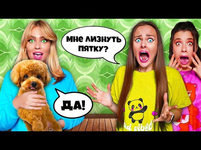 24 ЧАСА СОБАКА СЕСТРЫ УПРАВЛЯЕТ НАШЕЙ ЖИЗНЬЮ ! **Это была ошибка**