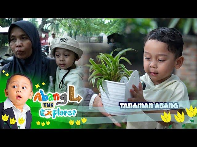 Abang Bawa Tanaman, Buat Kado Bunda Papa di Rumah | Abang L The Explorer