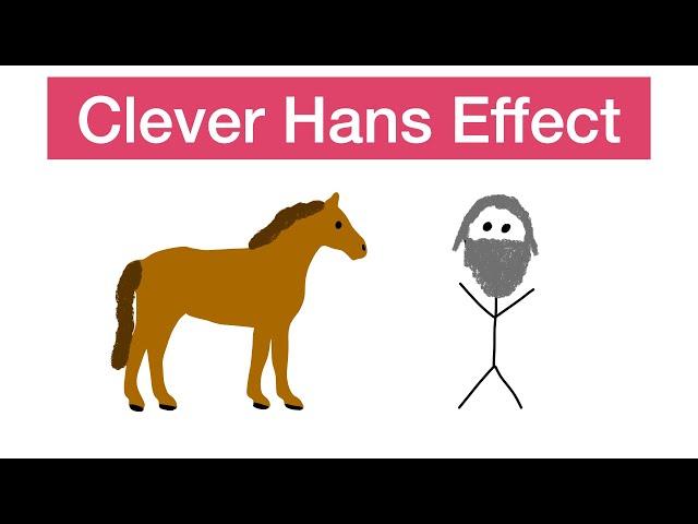 Clever Hans | The Smart Horse Behind Unconscious Cues