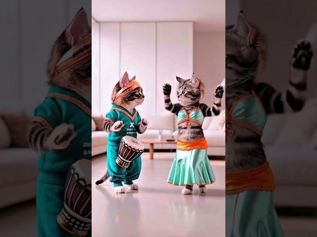 #cute cats dance