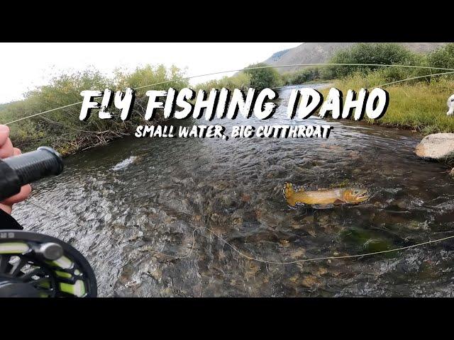 EXPLORING SMALL WATER - FLY FISHING FOR CUTTHROAT TROUT