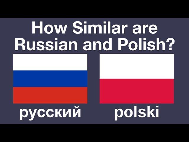 How Similar are Russian and Polish?