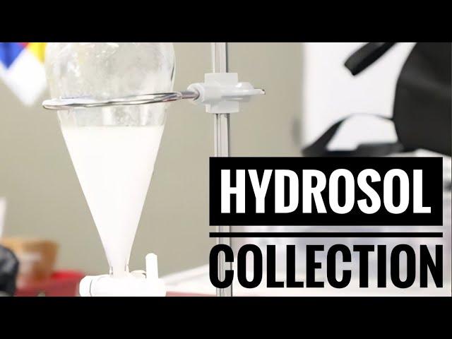 Hydrosol Collection Method for Solventless Terpenes