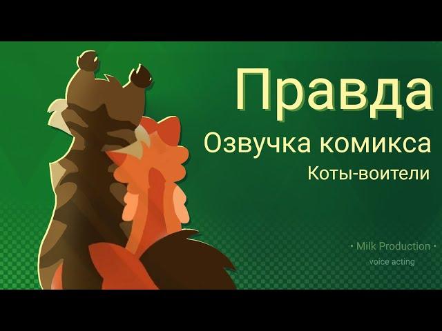 Правда | Фан Коты-Воители | Озвучка комикса на русском 