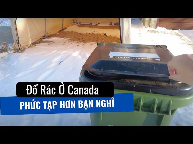 Tất tần tật cách đổ rác và phân loại rác tại Canada | Cuộc sống Canada