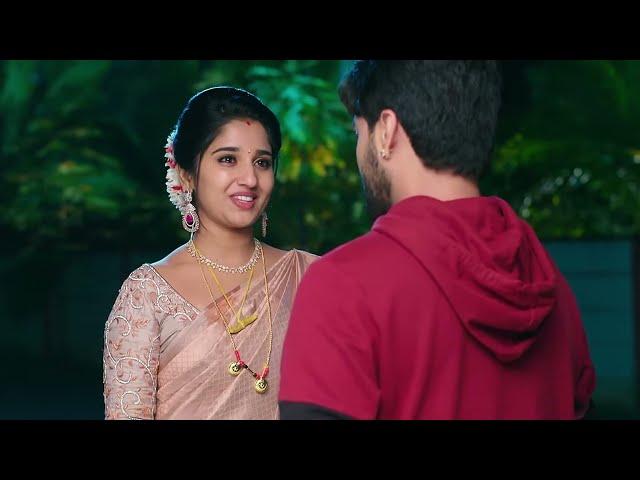 Kalyanam Kamaneeyam - కళ్యాణం కమనీయం - Telugu Serial - EP - 244 - Meghana Lokesh - Zee Telugu