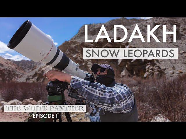 Filming Snow Leopards in Ladakh | THE WHITE PANTHER with Kenneth Lawrence - Episode 1