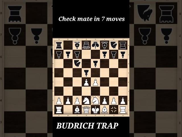 CHESS TACTICS  Budrich tap