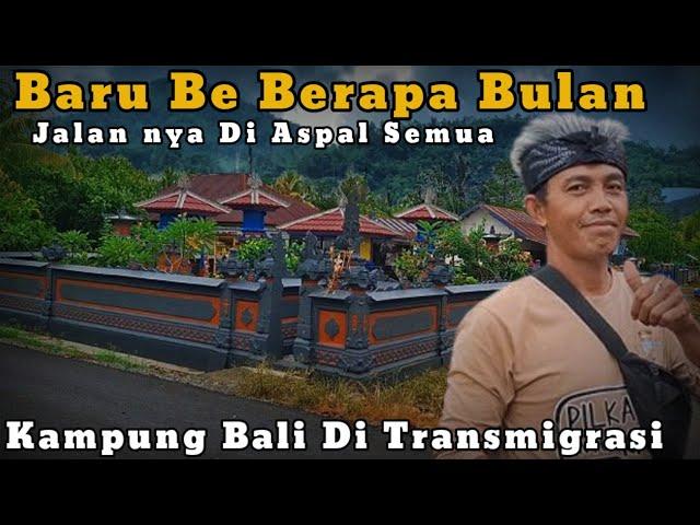 Jalan Nya Di Aspal Semua, Suasana Kampung Bali Transmigrasi Sulawesi Dusun Wana Sari